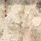 Breccia Rosa